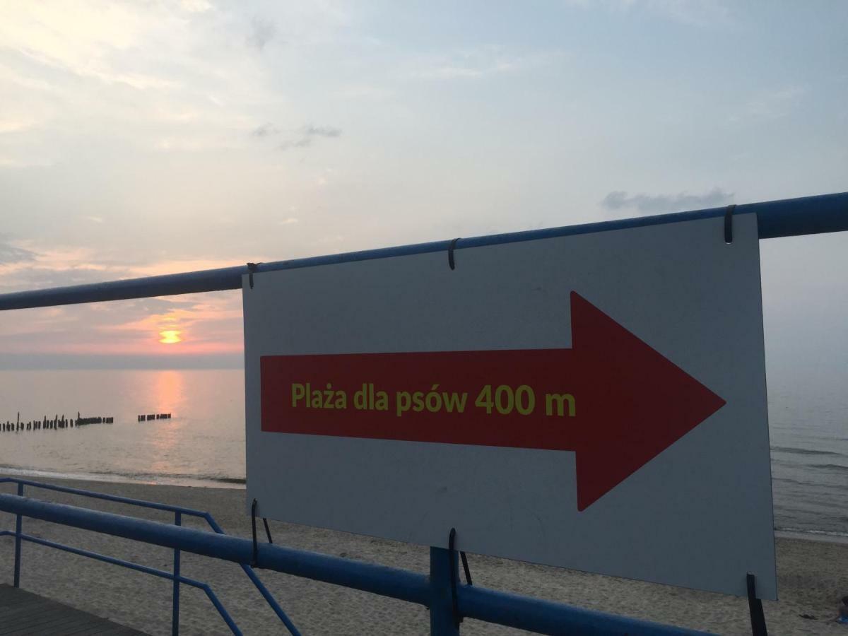 Apartamenty Blisko Plazy Podczele 科沃布热格 外观 照片